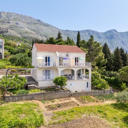 Apartments Mat Mlini  4
