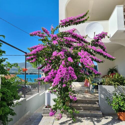 Apartment Lilac Arbanija