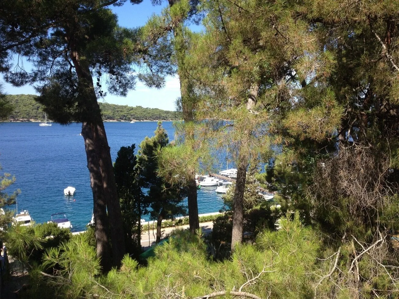 Apartments Pero Mali Losinj