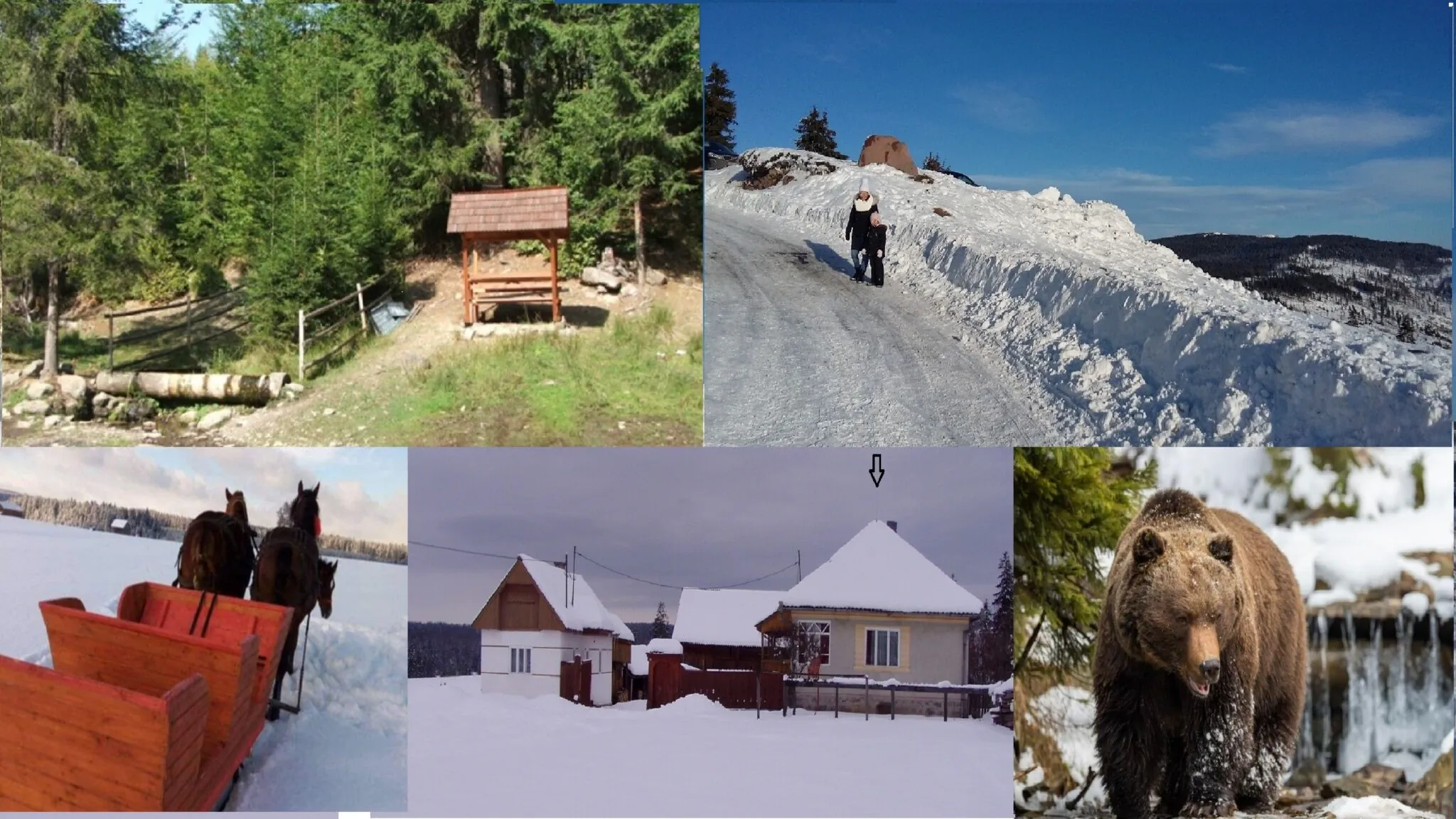Casa Rustică la Marginea Pădurii Vărșag