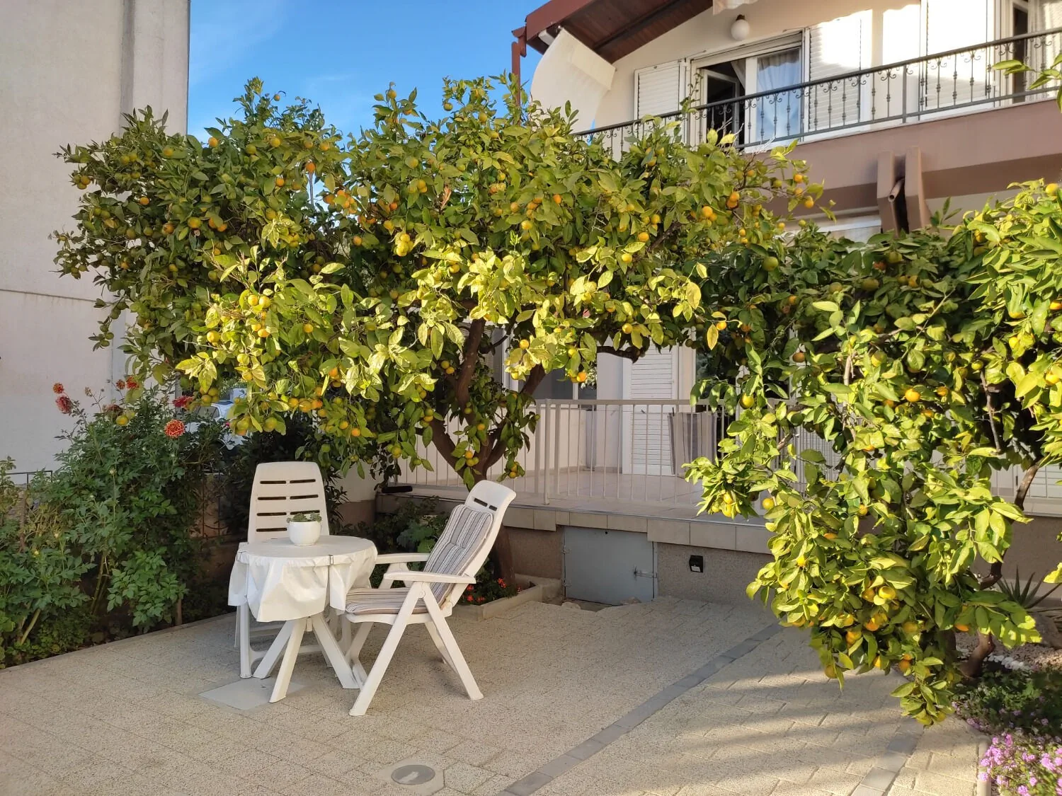 Apartments Neve Grebastica