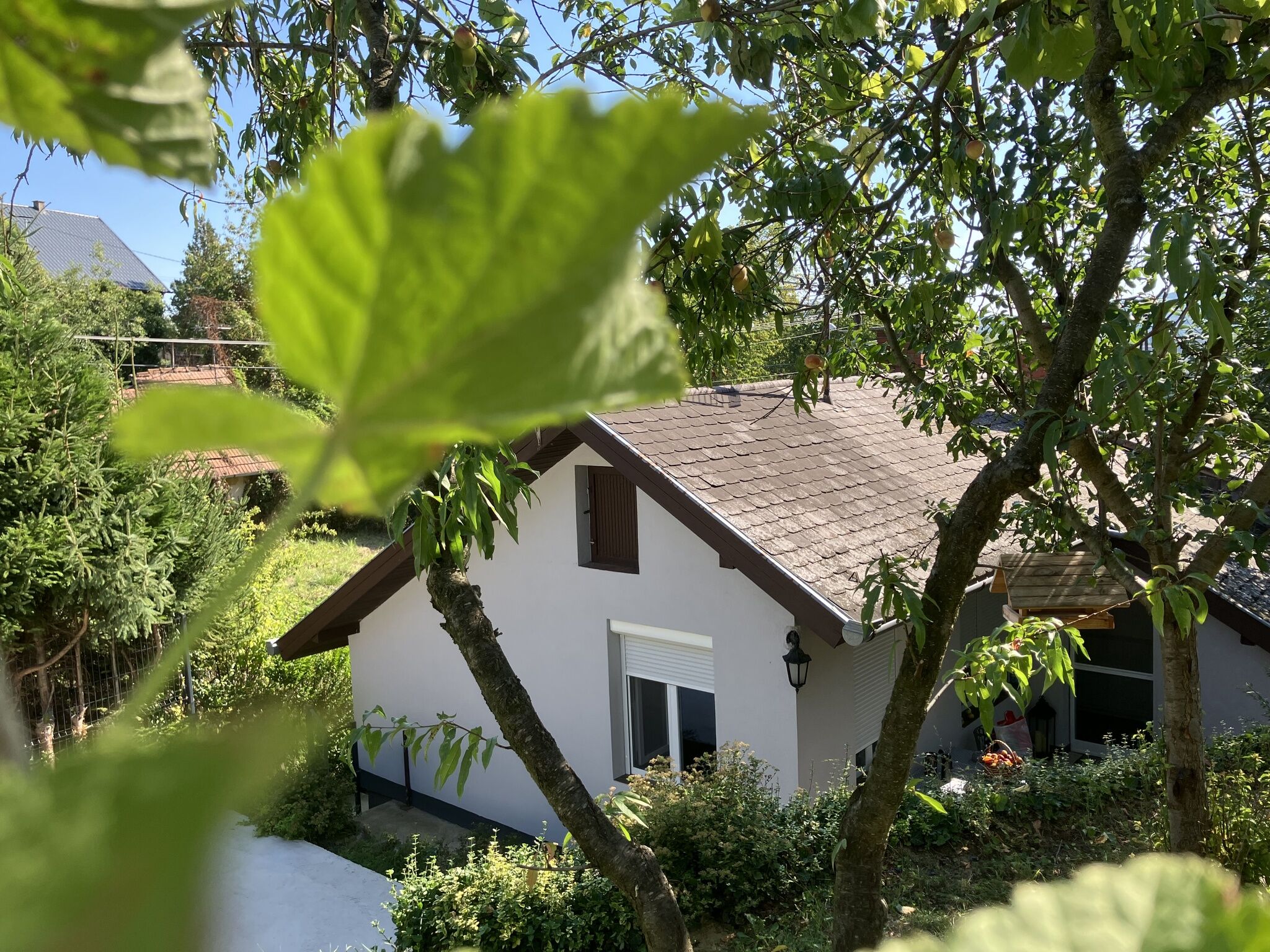 Borostyán Vendégház Zalaegerszeg