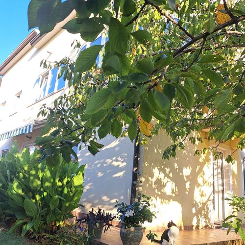 Apartman Danijela Umag ★★★★ 2
