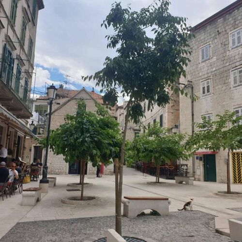 Apartments Iva Split  4