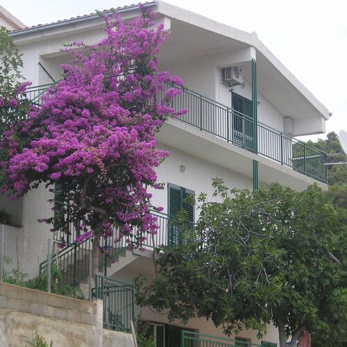 Apartments Neva Primosten