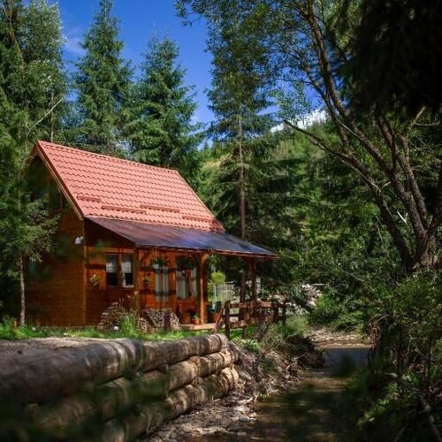 Casa de vacanță Pura Vida - Forest Home Poiana Horea