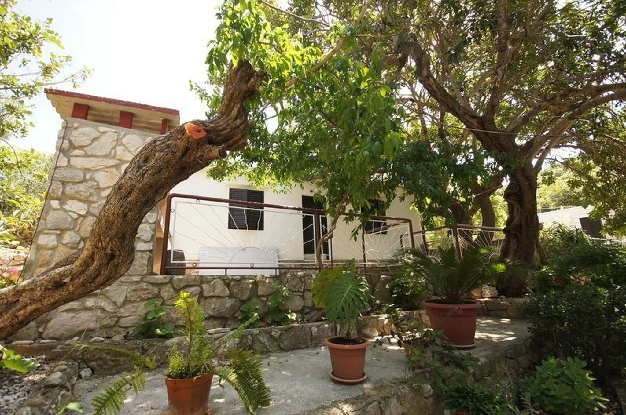 House Paulo2 Vis