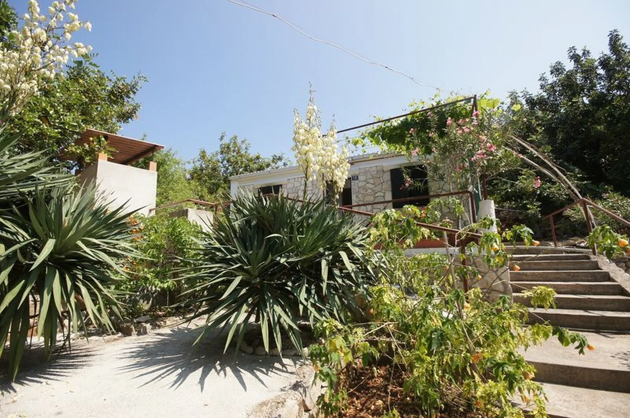 House Paulo1 Vis
