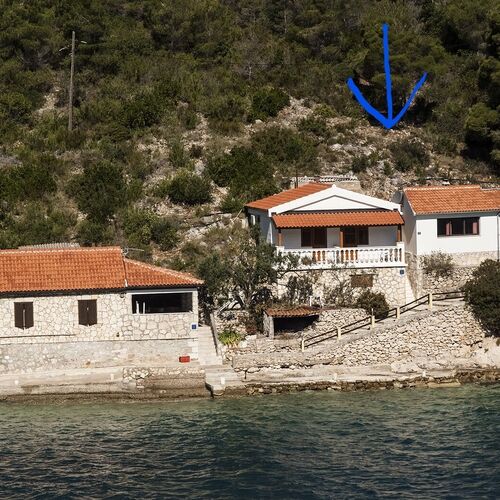 House Vinkli Vis  2