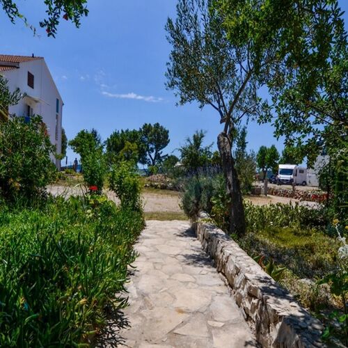 Apartment Rosa Orebic  2