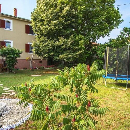 Apartment Ljilja Fazana  2