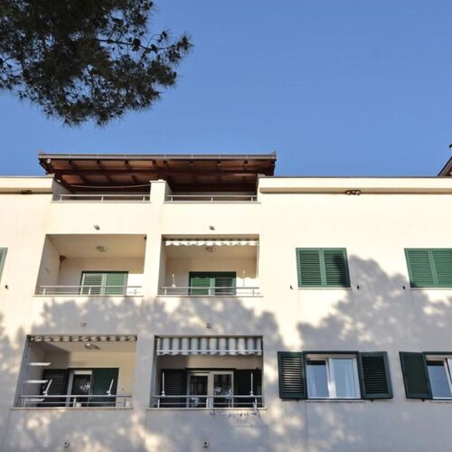 Apartment Leo Ploce  4