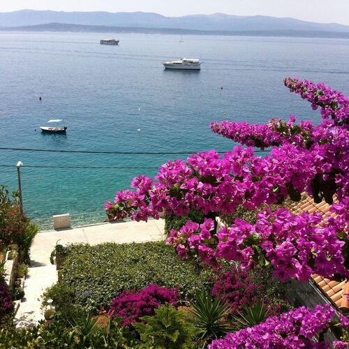 Apartments Matea Bol