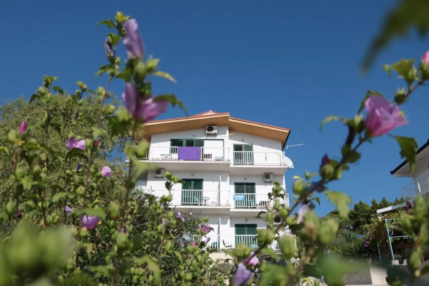 Apartments Gloria Gradac