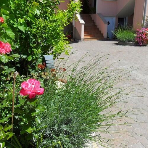 Apartment Marinka Zadar  4