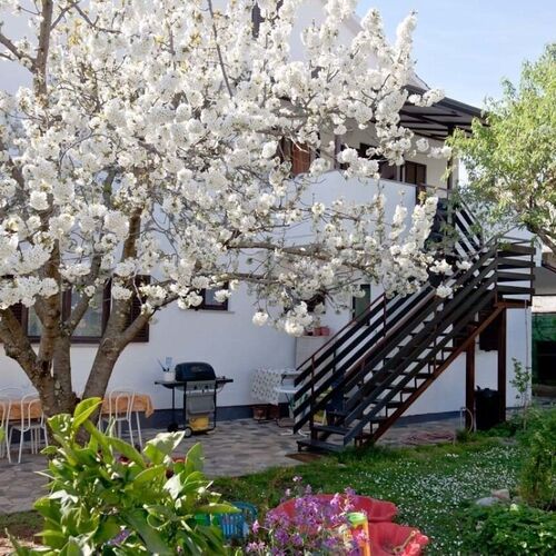Apartment Neva Novigrad  3
