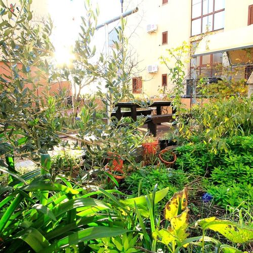 Apartments Oasis Nin  3