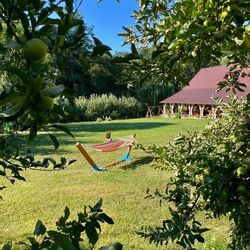 Cabana Oana 5-bedrooms chalet Târnova