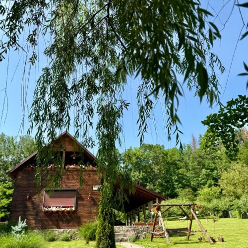 Cabana Oana 5-bedrooms chalet Târnova