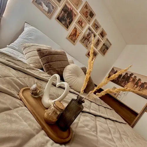 Csatangoló Lovas Apartman Gold Kalocsa 002 kép