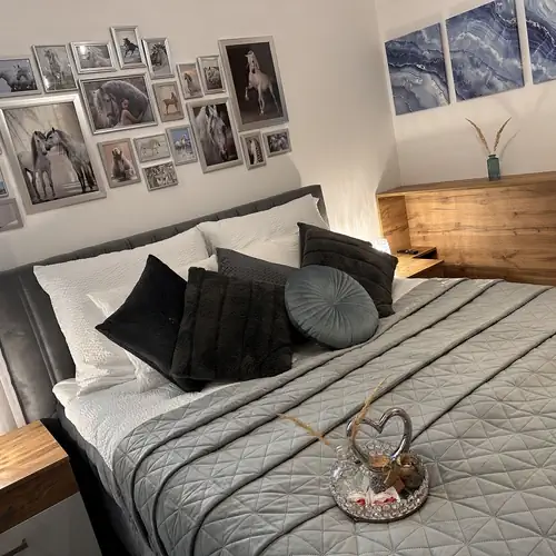 Csatangoló Lovas Apartman Silver Kalocsa 002 kép