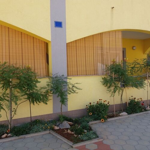 Apartments Vanja Vir  4
