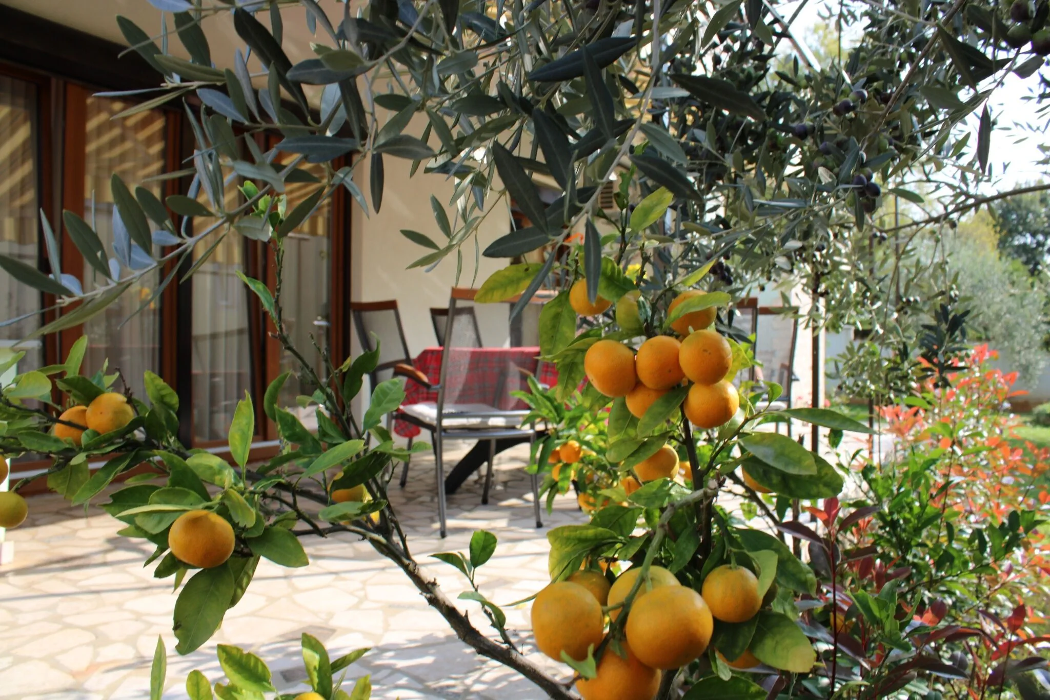 Apartman Paganor Pula