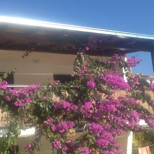 Apartment Sunce Vinisce  4