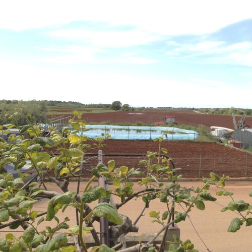 Apartment Tre pini 2 Seget, Umag  3
