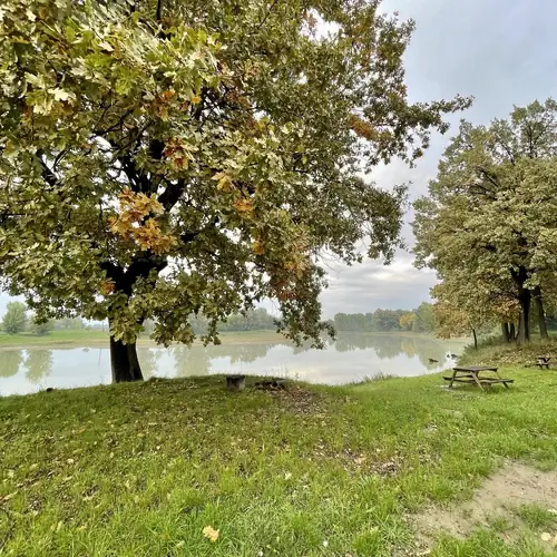 Pasku-Parti Vendégház Mezőladány 013 kép