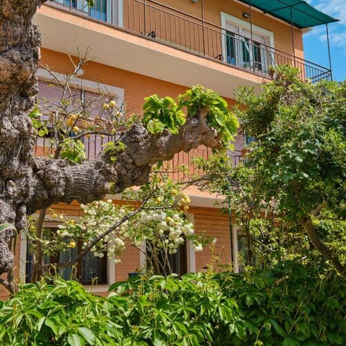 Apartment Giuseppe Mali Losinj  4
