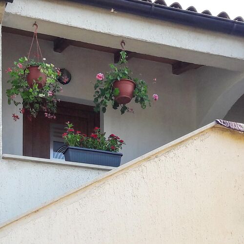 Apartman Šišan - CIR742  2