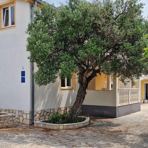 Apartman Rogoznica - CSV179  4