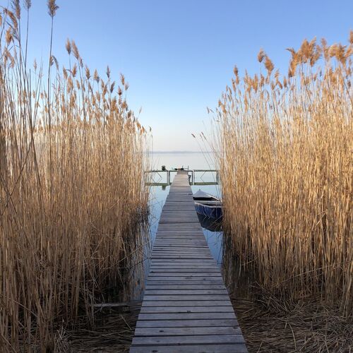 Hullámház Apartmanok Balatonmáriafürdő  2