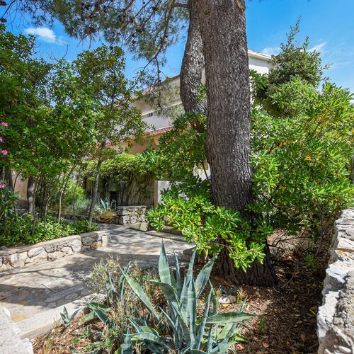 Apartment Neve Mandre