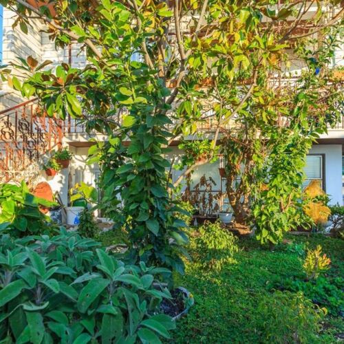 Apartment Željka Sumpetar  3