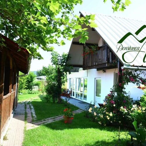 Pensiunea Anita Hațeg