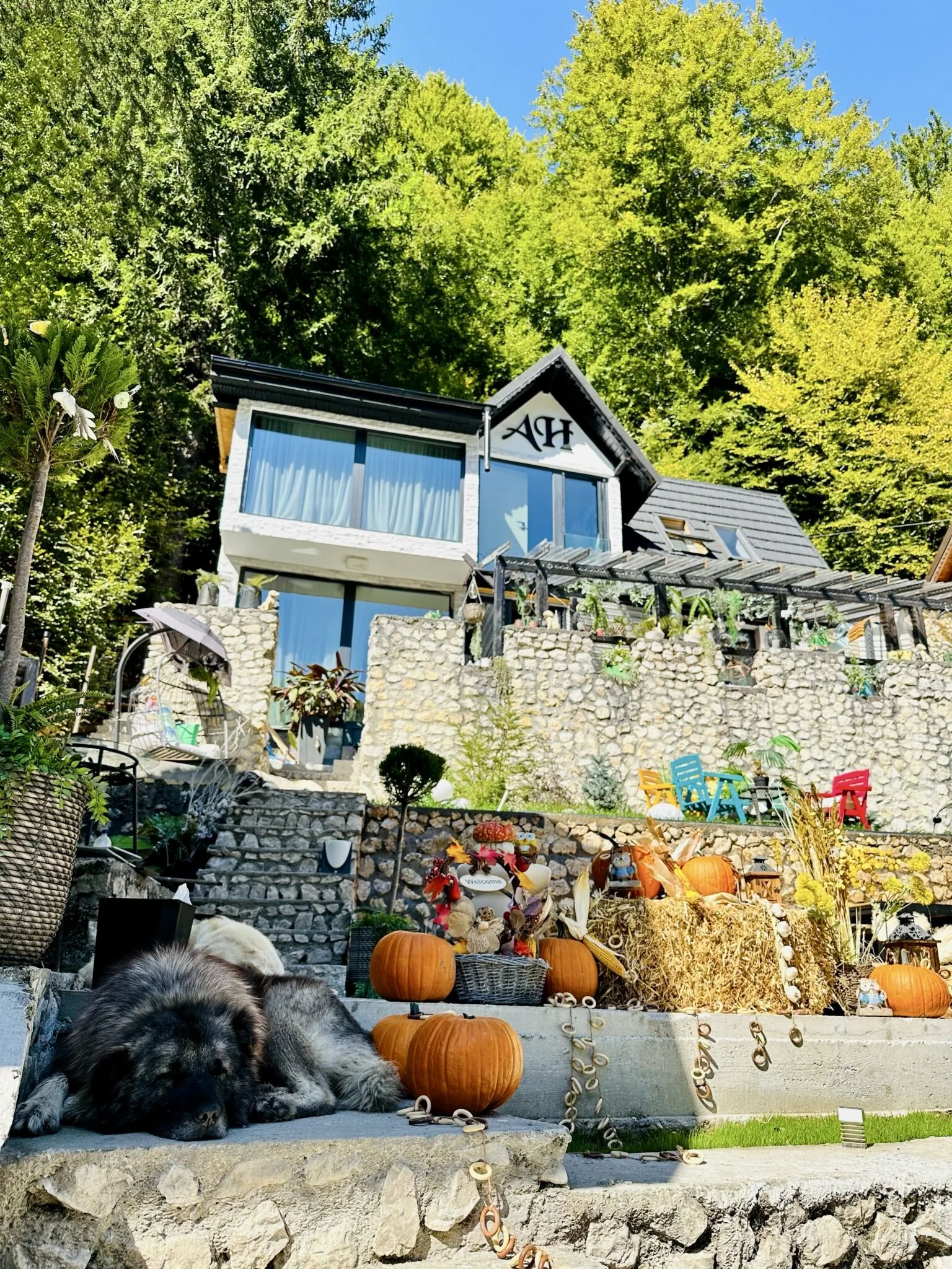 Vila Alpin Heaven Dâmbovicioara
