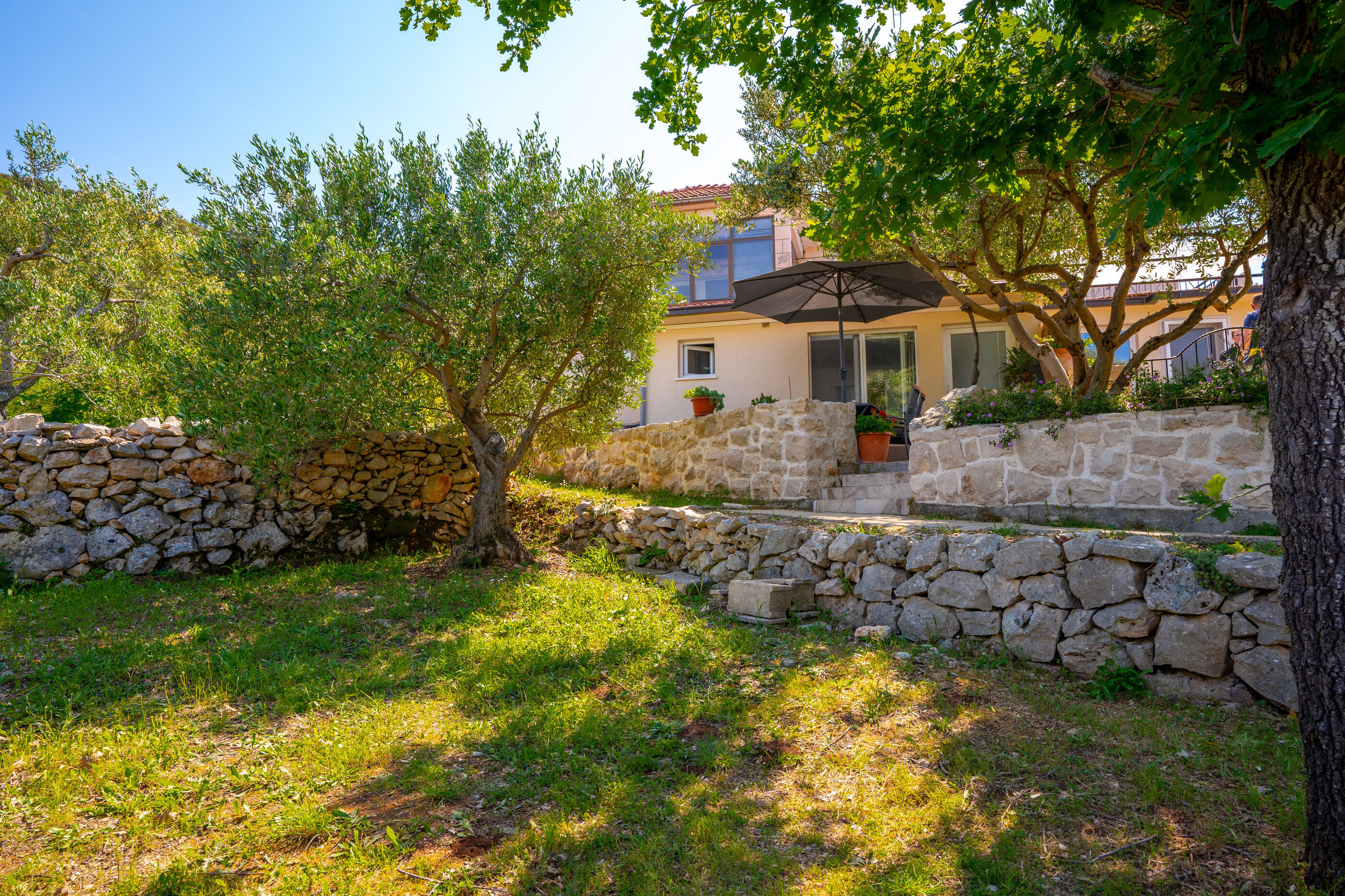 Apartment Maslina Kneža