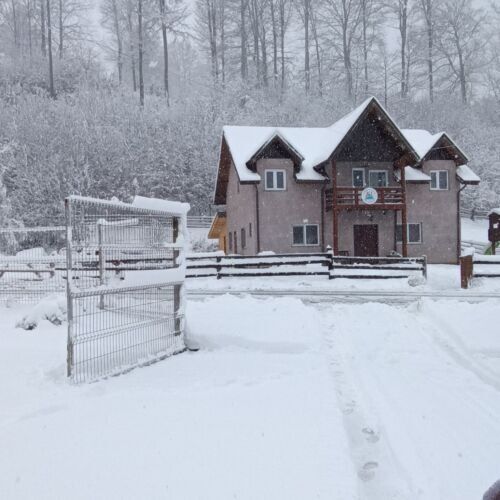 Casa Vânătorului Buzăiel 