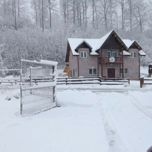 Casa Vânătorului Buzăiel 