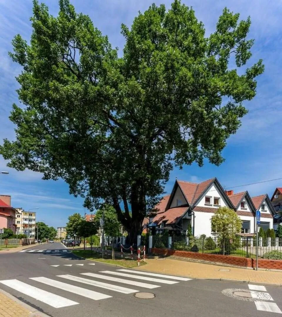 Złota Regalinda & Spa Międzyzdroje