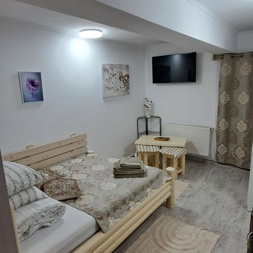 Alina's Apartament Sinaia