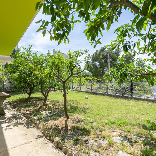 House Turtle garden Omis  2