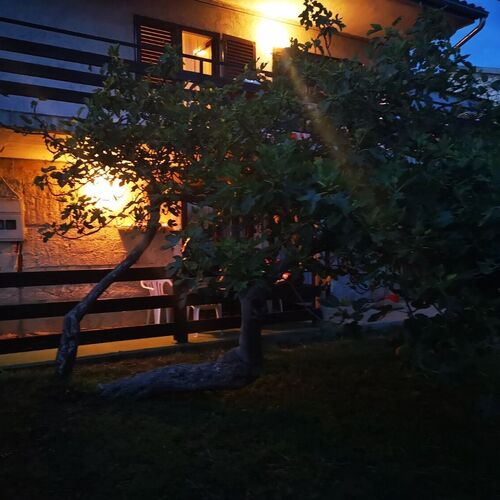 Apartment Maria Pirovac  4