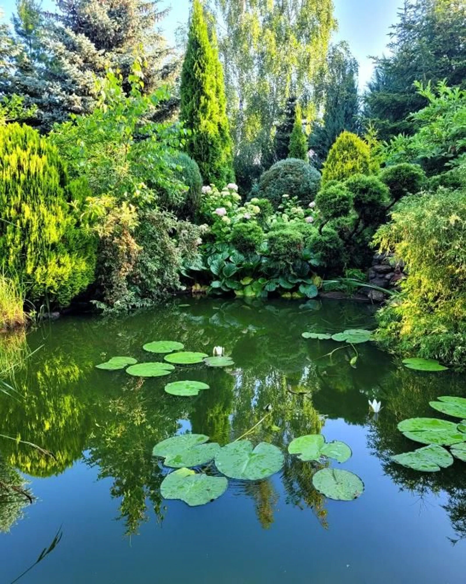 Duży dom wakacyjny 4 sypialnie blisko Morza 8-10 osób Międzyzdroje Wyspa Wolin 