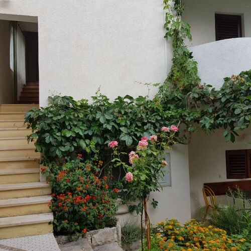 Apartments Vrtina Igrane  3