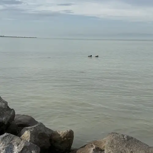 Potecz Apartmanház Balatonfenyves 012 kép