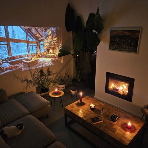 Black Walnut House Homorâciu
