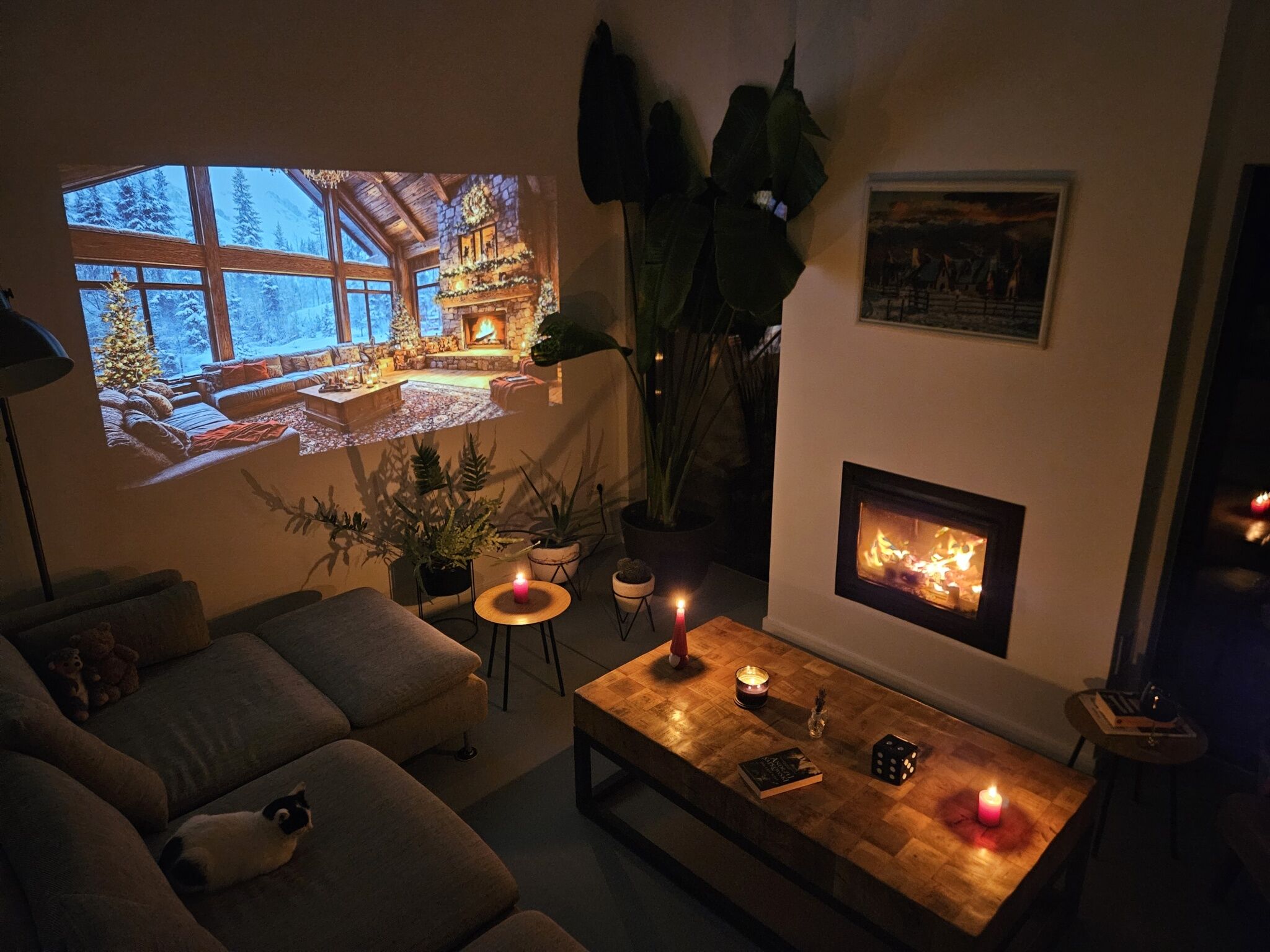 Black Walnut House Homorâciu